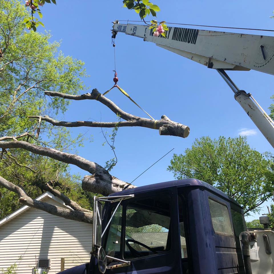 A crane carefully lifting a large cut tree branch during a tree removal service by Ratliff Landscape and Tree Service LLC in Murfreesboro, TN