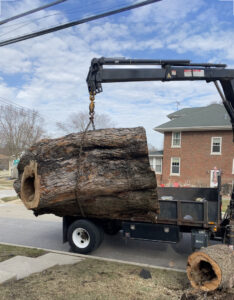 A crane lifting a large tree log onto a flatbed truck during a tree removal service by Skyline Tree Service and Landscaping Inc. in Saint Charles, IL.
