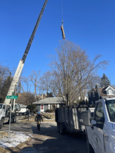 A crane lifting a large tree log section with a worker and dump trailer for J's Tree Trimming and Removal, Inc. in Ann Arbor, MI.
