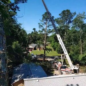 A large crane lifting a section of a tree during removal, performed by Abbott Tree removal in Tallahassee, FL.