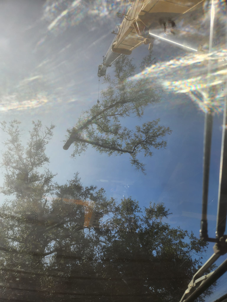 A crane lifting a section of a tree against a clear blue sky, showcasing tree removal by Tree Worx in Darlington, PA.