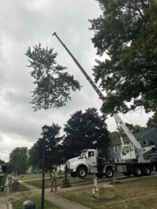 A large crane carefully lifting a section of a tree during a removal project by Hercules Tree Service in Akron, OH.