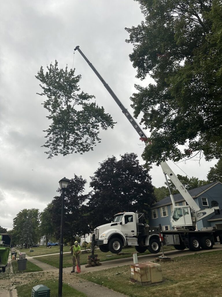 A large crane carefully lifting a section of a tree during a removal project by Hercules Tree Service in Akron, OH.