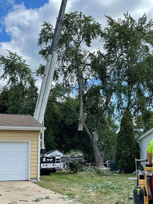A large crane lifting a section of a tree trunk during a tree removal service by Tip Top Tree Care in Grand Rapids, MI.