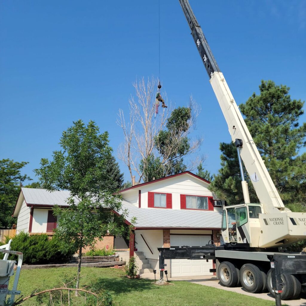 A crane carefully lifting a large tree section over a residential house during removal by Lind Legacy Tree Service in Colorado Springs, CO
