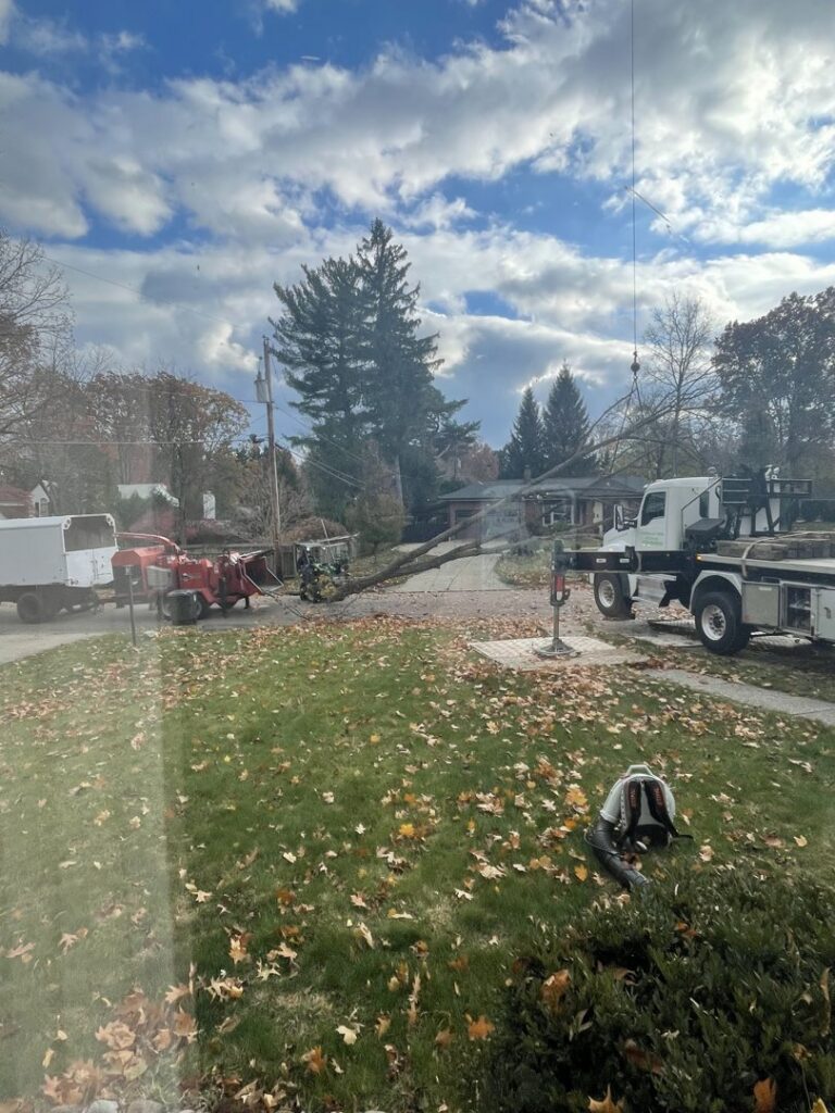 A crane carefully lifting a large tree section over power lines during a hazardous removal by Hercules Tree Service in Akron, OH.