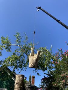 A crane lifting a large tree stump section over a house during tree removal by 706 Tree and Stump in Augusta, GA.