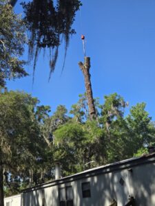 A crane lifting a large tree trunk section during removal by 904tree.com in Jacksonville, FL.