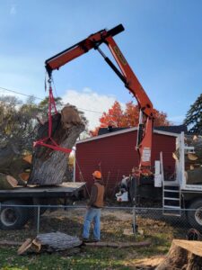 A crane truck from M S Wiekhorst Arbor Company lifting a large section of a tree trunk during removal in Columbus, NE.