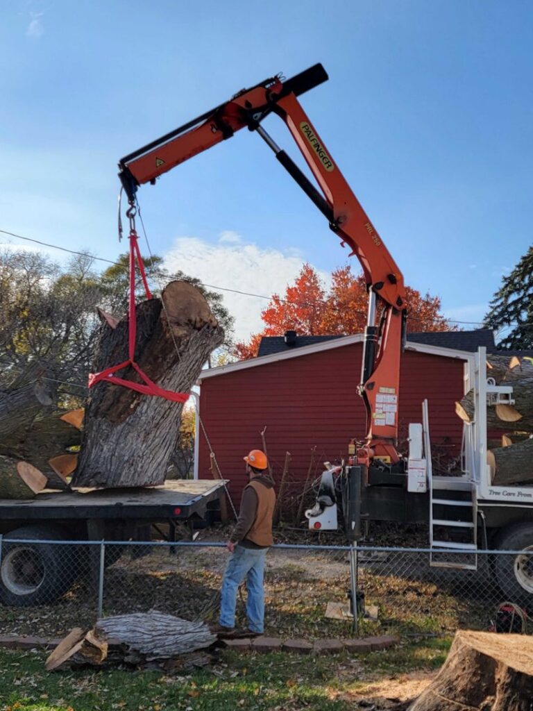 A crane truck from M S Wiekhorst Arbor Company lifting a large section of a tree trunk during removal in Columbus, NE.