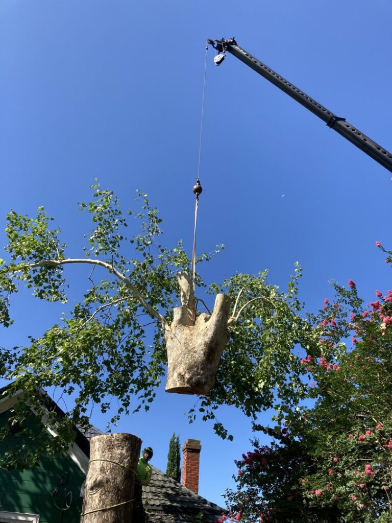 A crane lifting a large tree trunk section over a residential house during removal by 706 Tree and Stump in Augusta, GA.