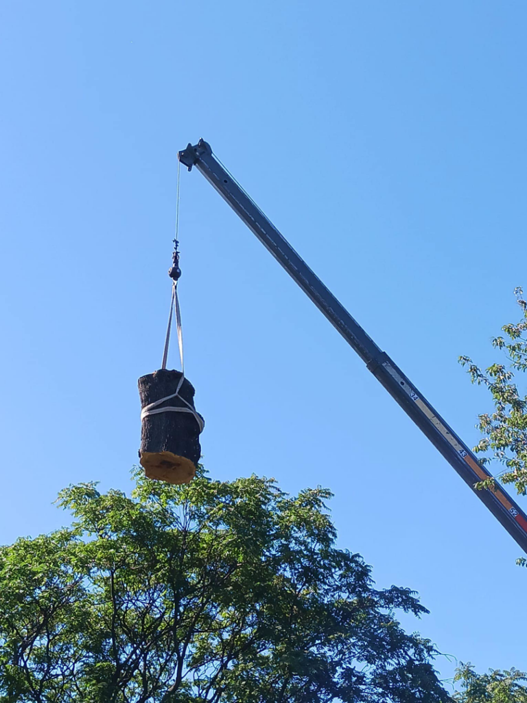 A crane lifting a large section of a tree trunk during a tree service job at Riverview Community Garden in Jersey City, NJ.