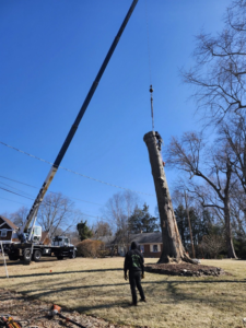A crane lifting a large, cut tree trunk section during tree removal by Kenny Jenkins Tree Service & Landscaping, LLC in Rapidan, VA.
