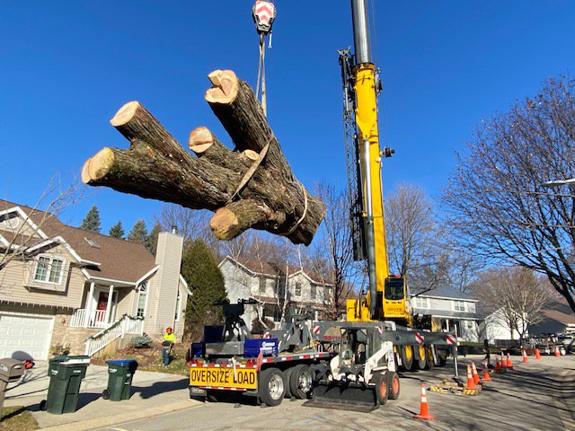 A large crane lifting a section of a tree trunk during removal for Wood Recycling Site / Brush Dump in Rochester, MN