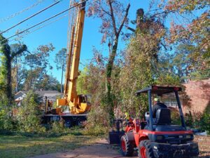 A large crane and a loader working together on a tree removal project by Abbott Tree removal in Tallahassee, FL.