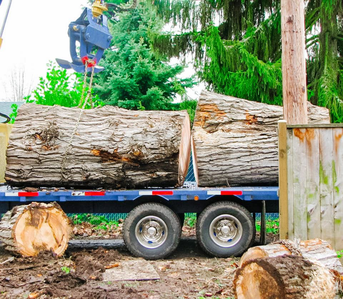 A crane loading large cut logs onto a trailer, part of tree removal by Cummings Tree Service in Eugene, OR.