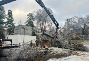 A crane removing a large, ice-damaged tree branch during storm cleanup by Ogle Tree Service LLC in Nashville, TN.