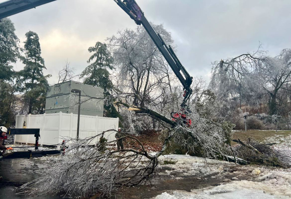A crane removing a large, ice-damaged tree branch during storm cleanup by Ogle Tree Service LLC in Nashville, TN.