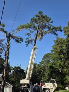 A large crane from Miller's Tree Service removing a tall tree section in Tallahassee, FL.