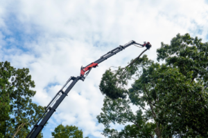 A crane with a grapple saw attachment carefully removing a large tree branch for Explore Tree Service in Durham, NC.