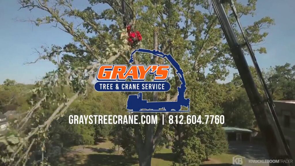 A Gray's Tree and Crane Service crane with a worker in a bucket removing tree branches, showcasing their expert services in Evansville, IN.