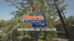 A Gray's Tree and Crane Service crane with a worker in a bucket removing tree branches, showcasing their expert services in Evansville, IN.