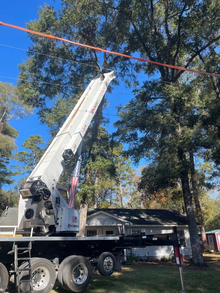 A large crane removing a tree near power lines for Tates Tree Service in Shalimar, FL.