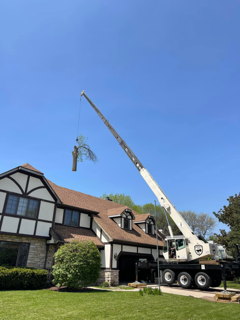 A large crane from Canopy Cops Tree Service LLC carefully removes a section of a tree over a residential house in Appleton, WI.