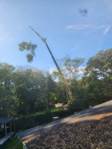 A large crane carefully removing a tree section over a residential rooftop, performed by Tree Worx in Darlington, PA.