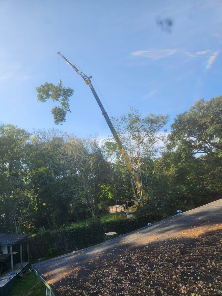 A large crane carefully removing a tree section over a residential rooftop, performed by Tree Worx in Darlington, PA.