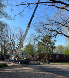 A large crane extended for tree removal or trimming by Four Seasons Tree Service, LLC in Eufaula, OK