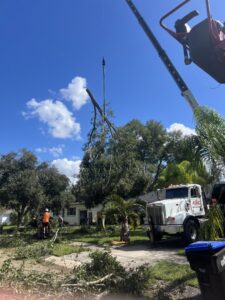 A large crane lifting a tree section during a tree removal operation by Blaze Tree Service Inc in Orlando, FL