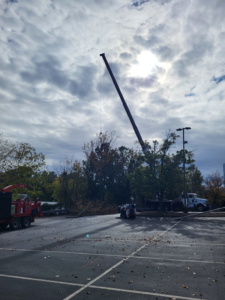 A large crane extended for a tree removal operation, with a wood chipper nearby, by Tommy Lowery's tree service in Raleigh, NC.