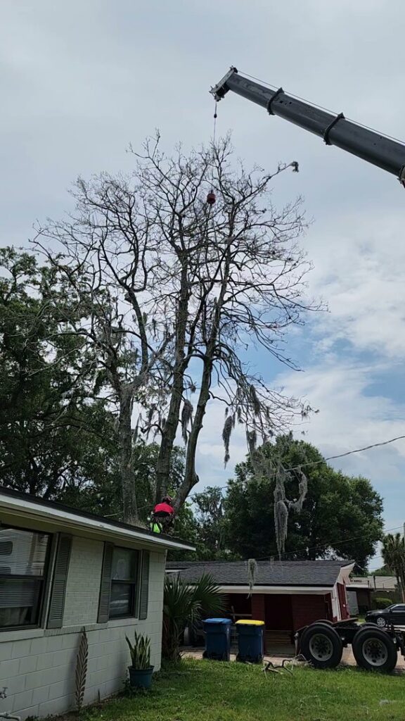 A crane performing tree removal over a residential house by 904tree.com in Jacksonville, FL.