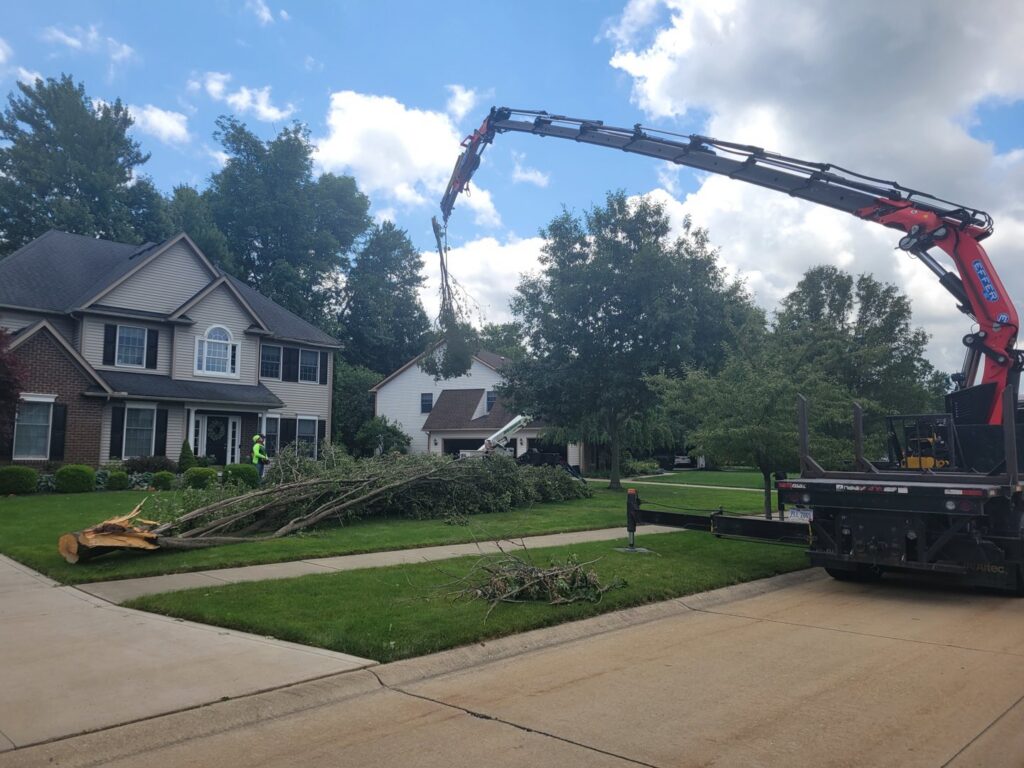 A crane lifting a large tree trunk section over a residential house during tree removal by Ecotree Services LLC in Lorain, OH.