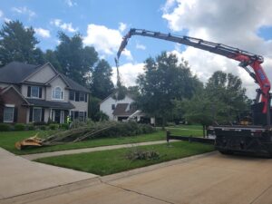 A crane lifting a large tree trunk section over a residential house during tree removal by Ecotree Services LLC in Lorain, OH.