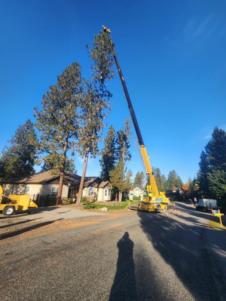 A large crane and worker performing tree removal in a residential area for Loughnan Logging-Tree Service in Spokane Valley, WA.