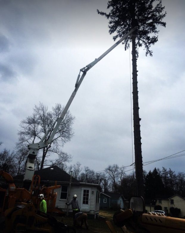 A large crane assisting with tree removal, with workers on the ground, by Duffy's Tree Service in Pittsburgh, PA