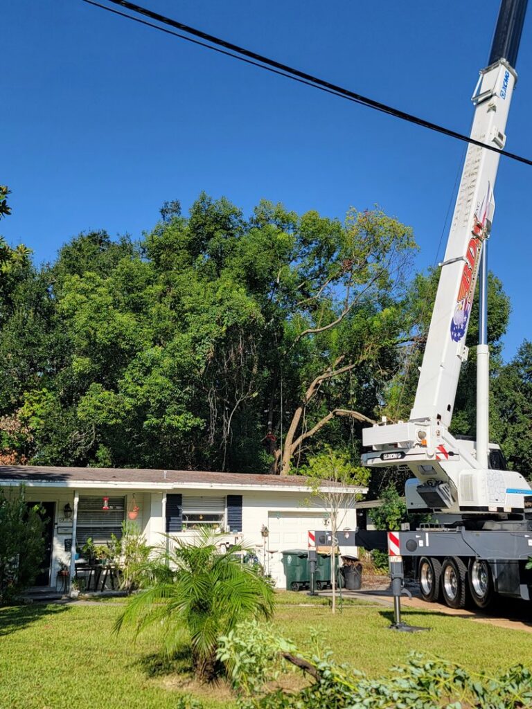 A large crane positioned for tree service operations by 904tree.com in Jacksonville, FL.