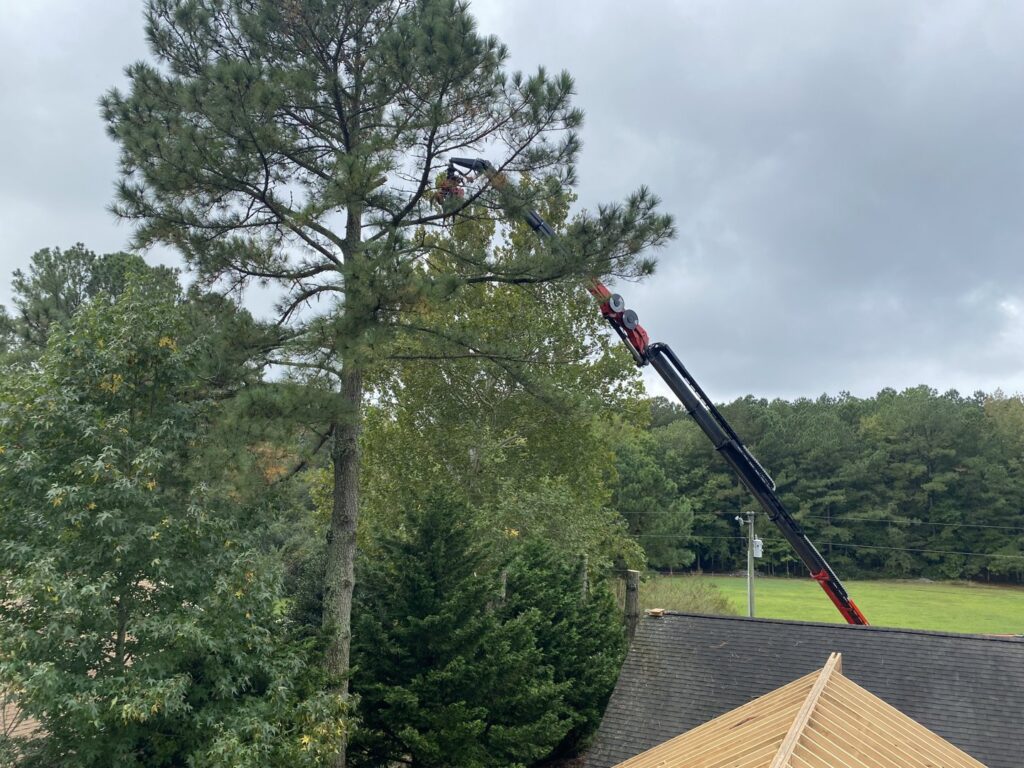 A crane truck with a grapple saw trimming a tall tree from above a roof for Marshall's Tree Service in Virginia Beach, VA