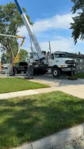 A large crane truck and a bucket lift truck are set up on a driveway for a tree service job by Magee Tree Service in Detroit, MI.