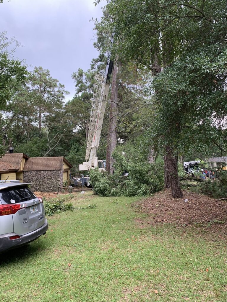 A crane truck and tree service equipment in a residential yard after tree work by Miller's Tree Service in Tallahassee, FL.