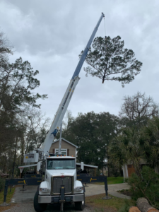 A crane truck lifts a large tree section during a tree removal service by 4M Tree Service in Knoxville, TN.