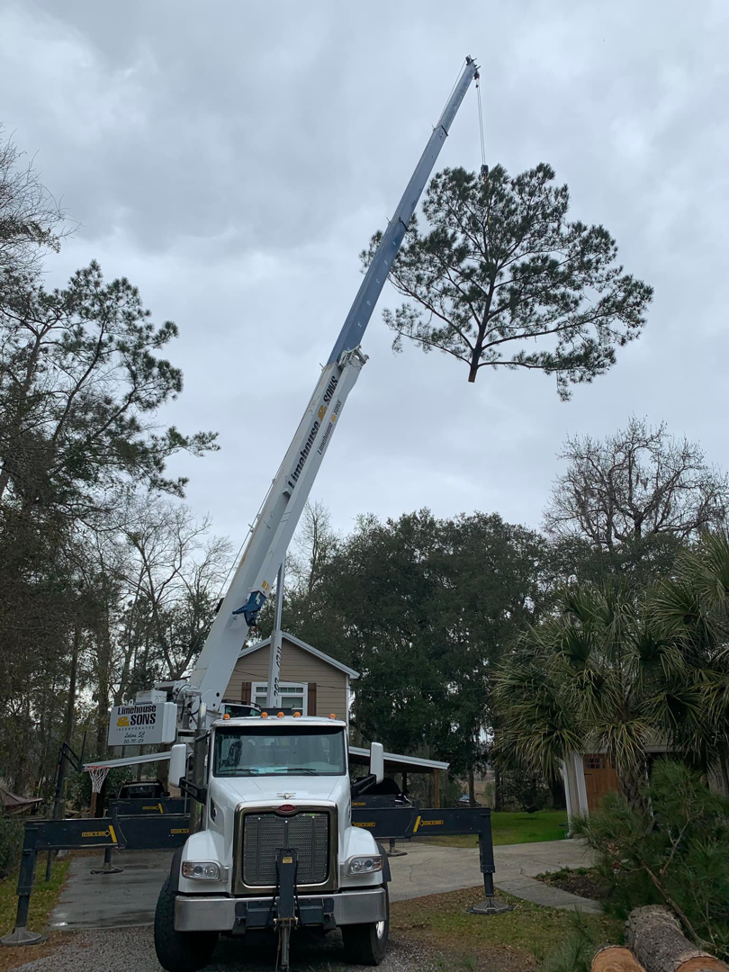 A crane truck lifts a large tree section during a tree removal service by 4M Tree Service in Knoxville, TN.