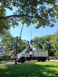 A crane truck lifting a tree section during a tree removal service at Riverview Community Garden in Jersey City, NJ.