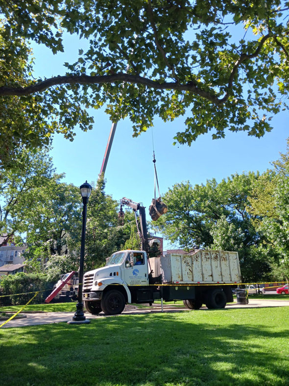 A crane truck lifting a tree section during a tree removal service at Riverview Community Garden in Jersey City, NJ.
