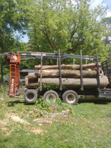 A crane truck loading large logs after tree removal services by Ole' Smokey's Tree Service in Knoxville, TN.