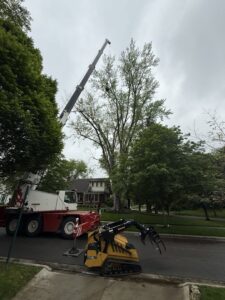 A crane truck and mini skid steer with grapple attachment ready for tree service by El tree service in Columbus, OH.