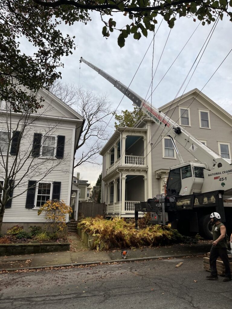 A large crane truck performing tree removal services between residential houses by Mike's Professional Tree Service in Coventry, RI.