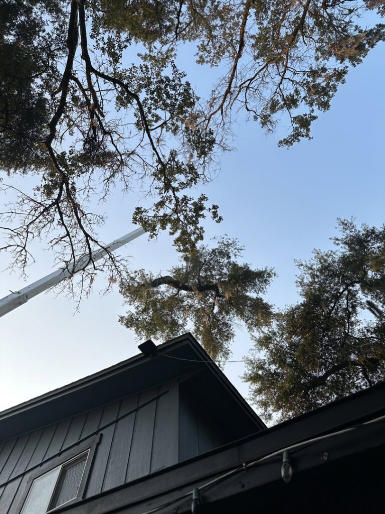 A crane from Eagerton Tree Service, LLC working on a tree extending over a residential house in Ponte Vedra Beach, FL.